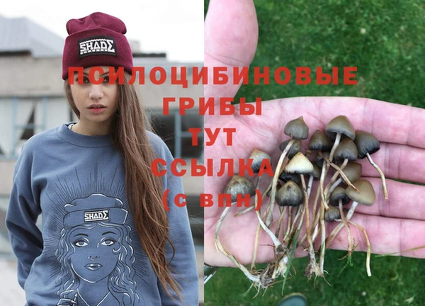 шишки Покров