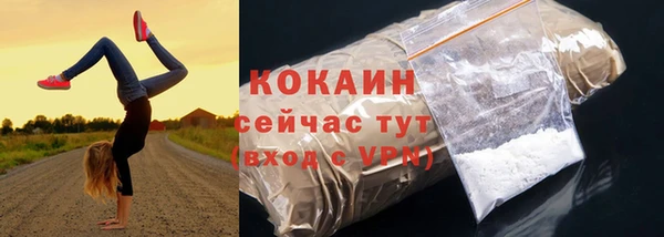 шишки Покров
