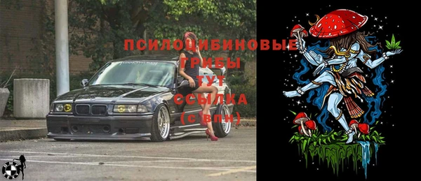 шишки Покров