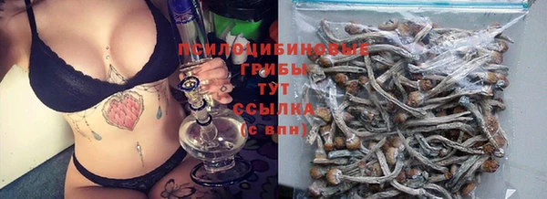 шишки Покров