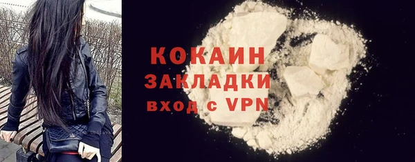 шишки Покров