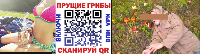 Галлюциногенные грибы Psilocybe  Пестово 